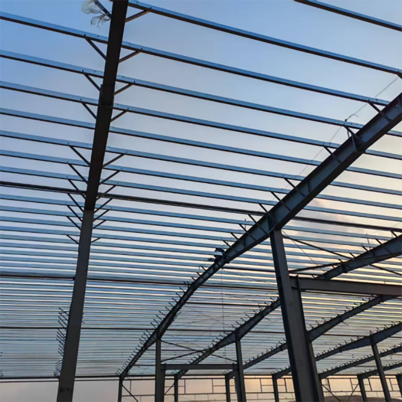 Expandable Steel Industrial Buildings: 10-Year Future-Proof Design