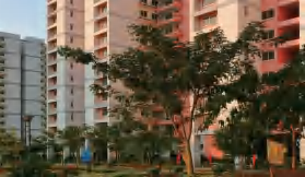 Angola Affordable Housing Project-The Modern Steel House